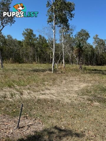 Lot 19 Turtle Point Lakeside, Laguna Quays LAGUNA QUAYS QLD 4800