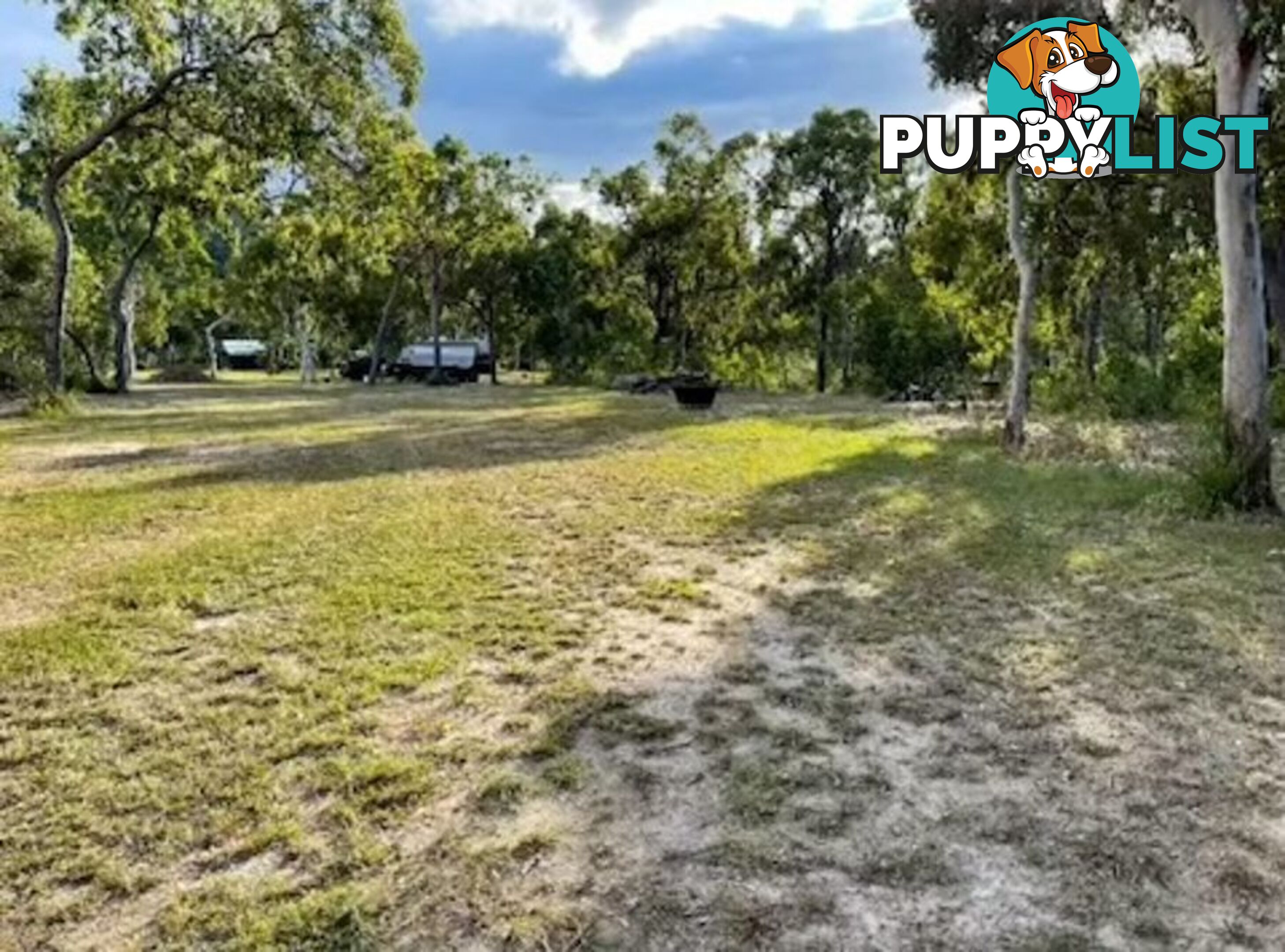 35 O'FLYNN CRESCENT MIDGE POINT QLD 4799