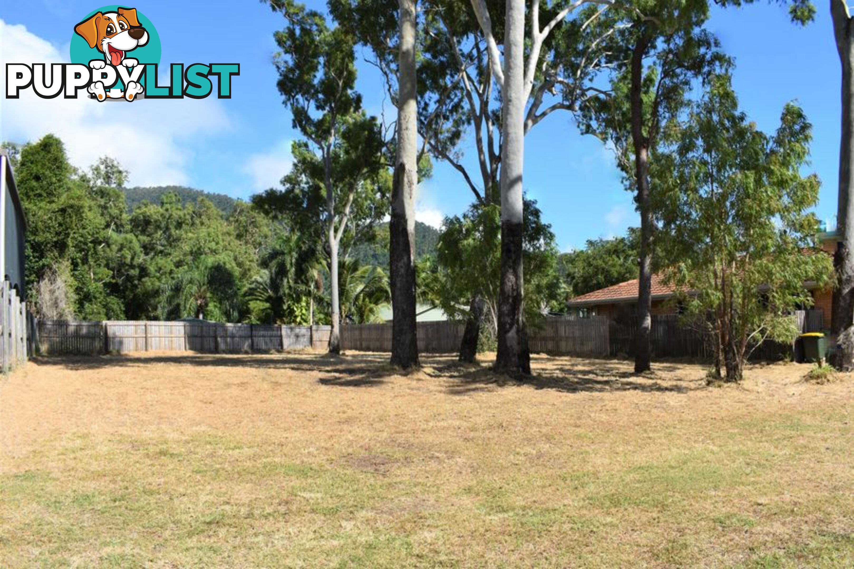 42 ERROMANGO DRIVE JUBILEE POCKET QLD 4802