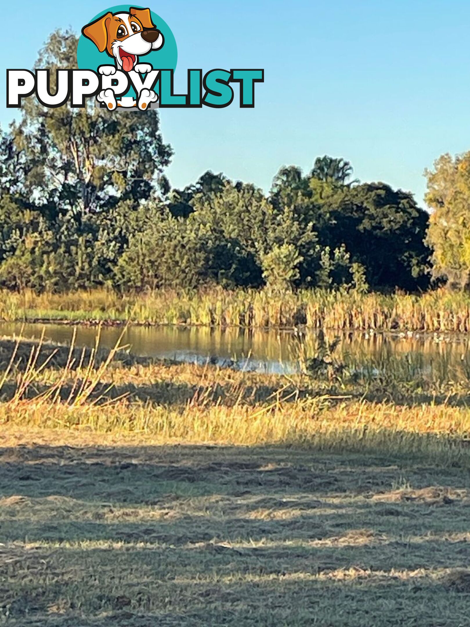 LOT 17 BRIDGEWATER EST. KUNIPIPI RD LAGUNA QUAYS QLD 4800