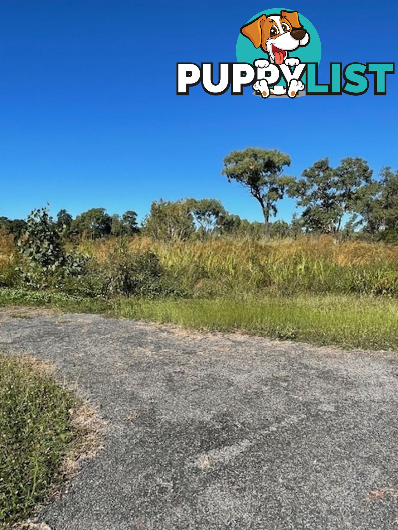 LOT 17 BRIDGEWATER EST. KUNIPIPI RD LAGUNA QUAYS QLD 4800