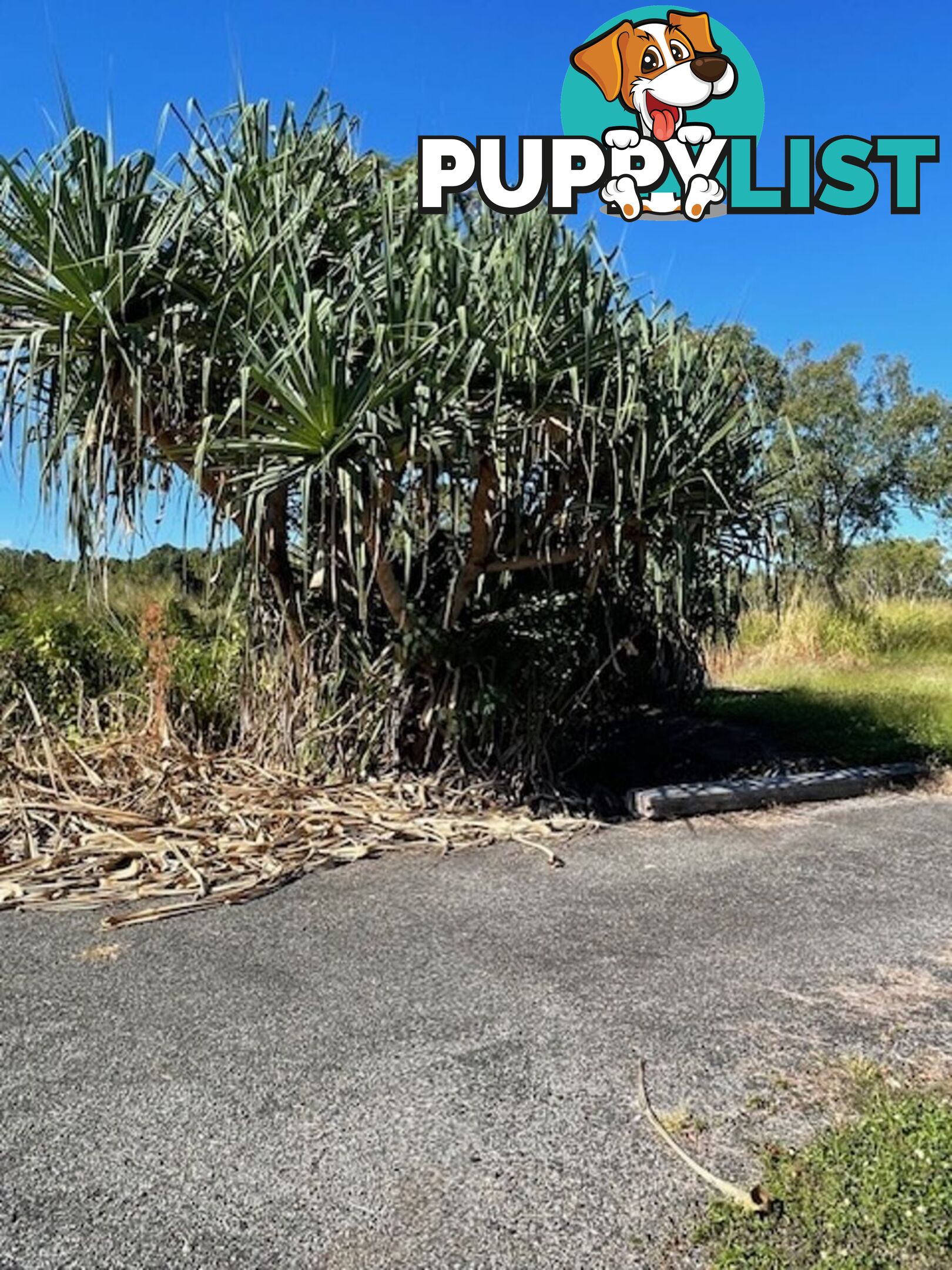 LOT 17 BRIDGEWATER EST. KUNIPIPI RD LAGUNA QUAYS QLD 4800