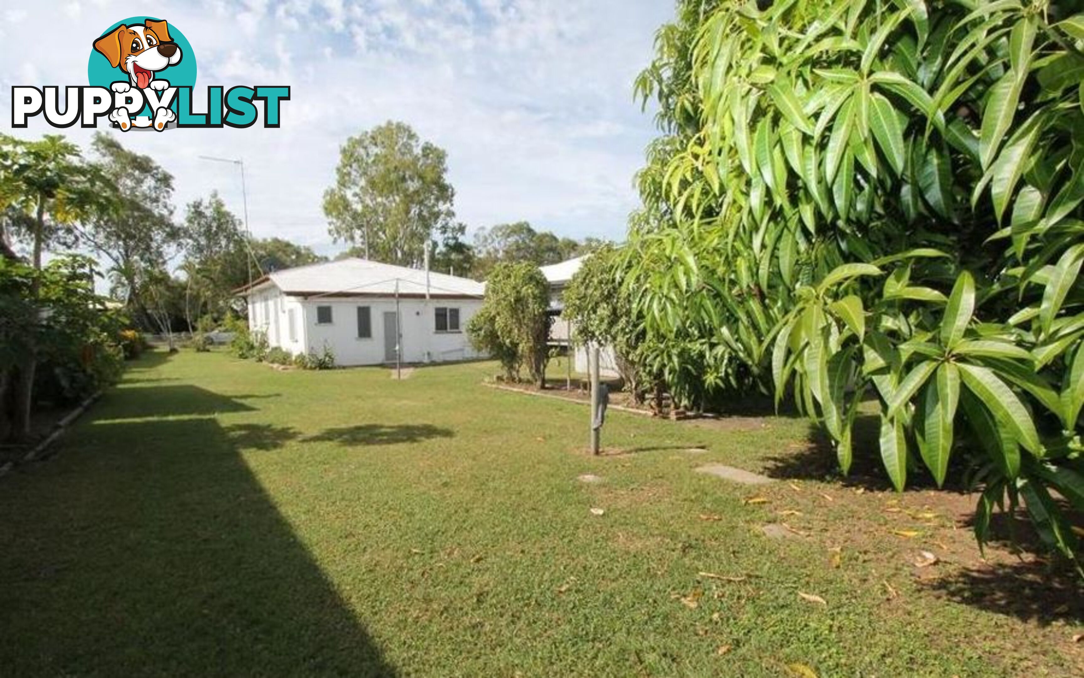 15 LAWSON ST AYR QLD 4807