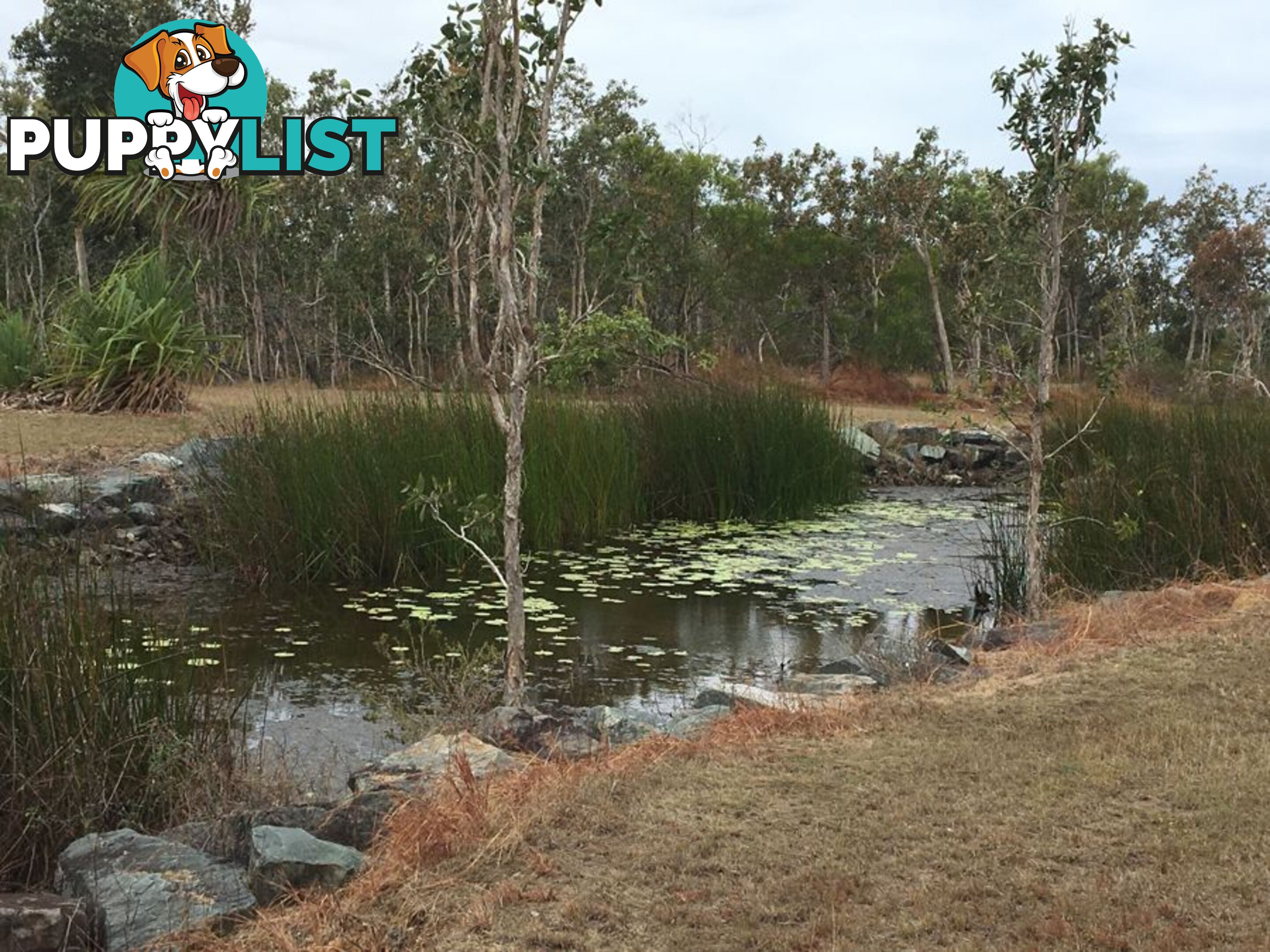 LOT 33 BANGURU ESTATE CONDER PDE LAGUNA QUAYS QLD 4800