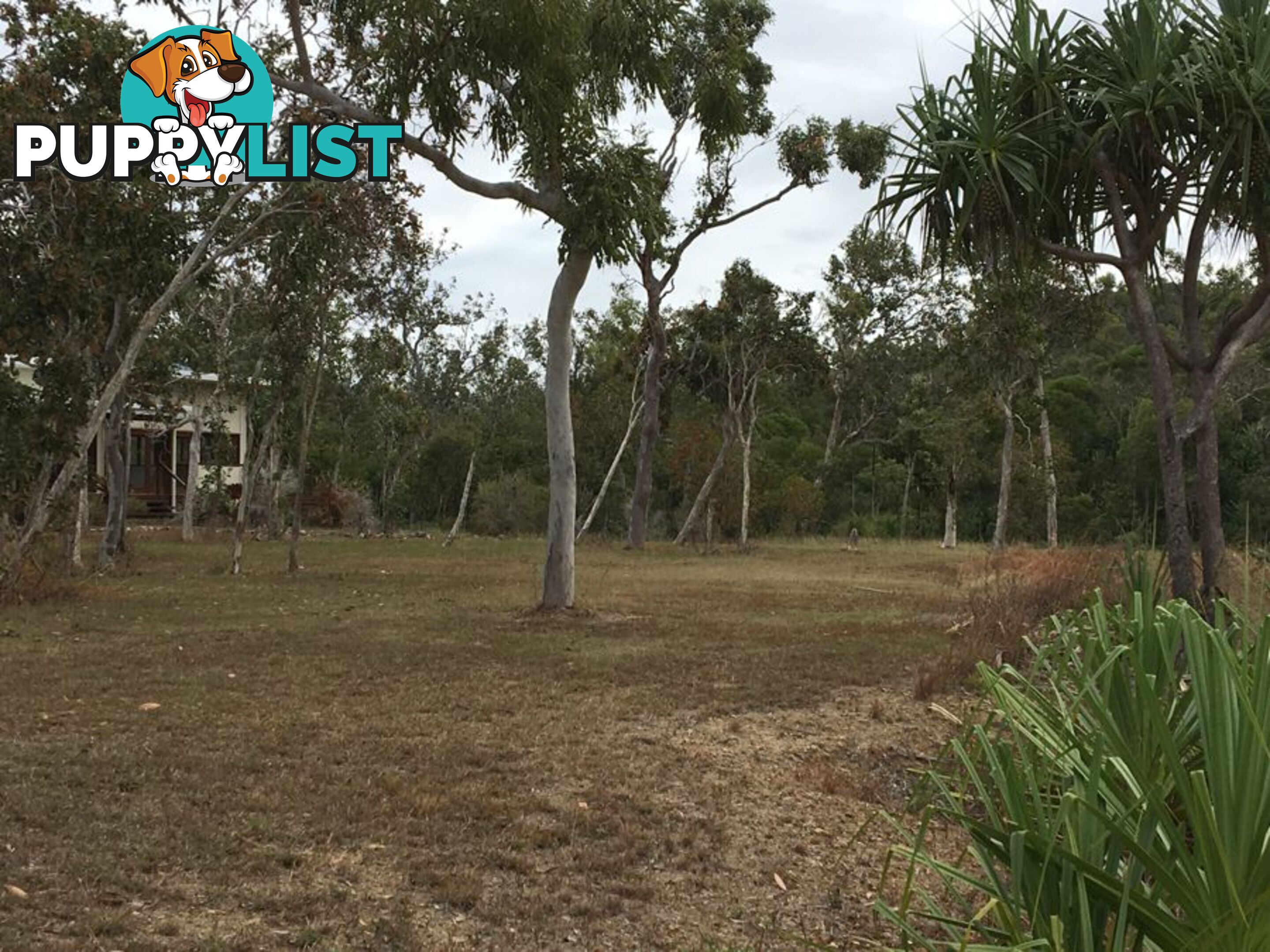 LOT 33 BANGURU ESTATE CONDER PDE LAGUNA QUAYS QLD 4800