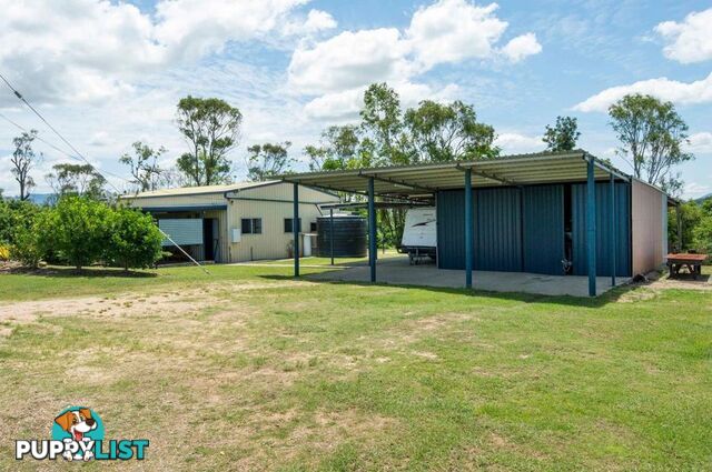 220 STAFFORDS ROAD BLOOMSBURY QLD 4799