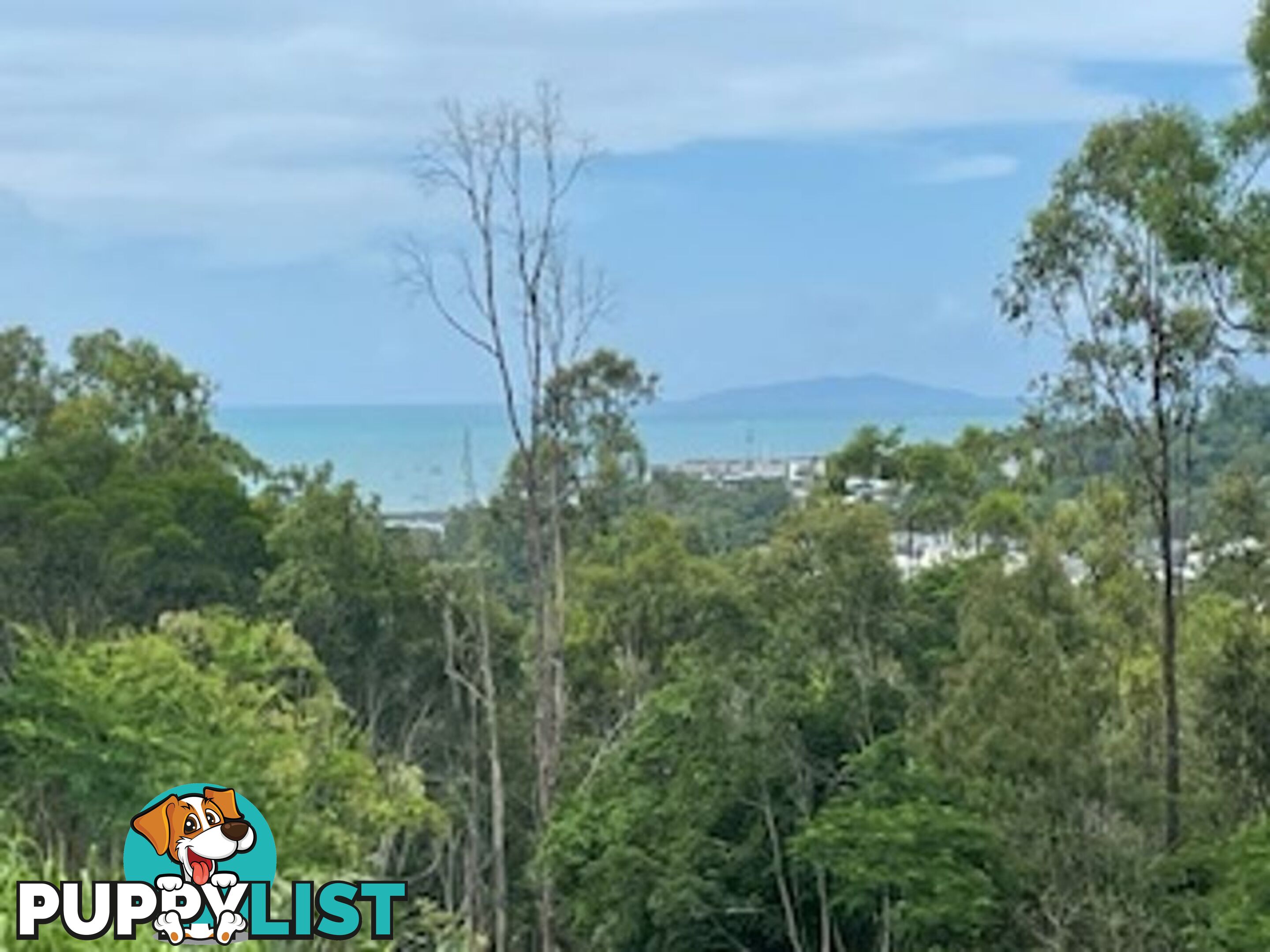 LOT 1 PARKWOOD TERRACE CANNONVALE QLD 4802