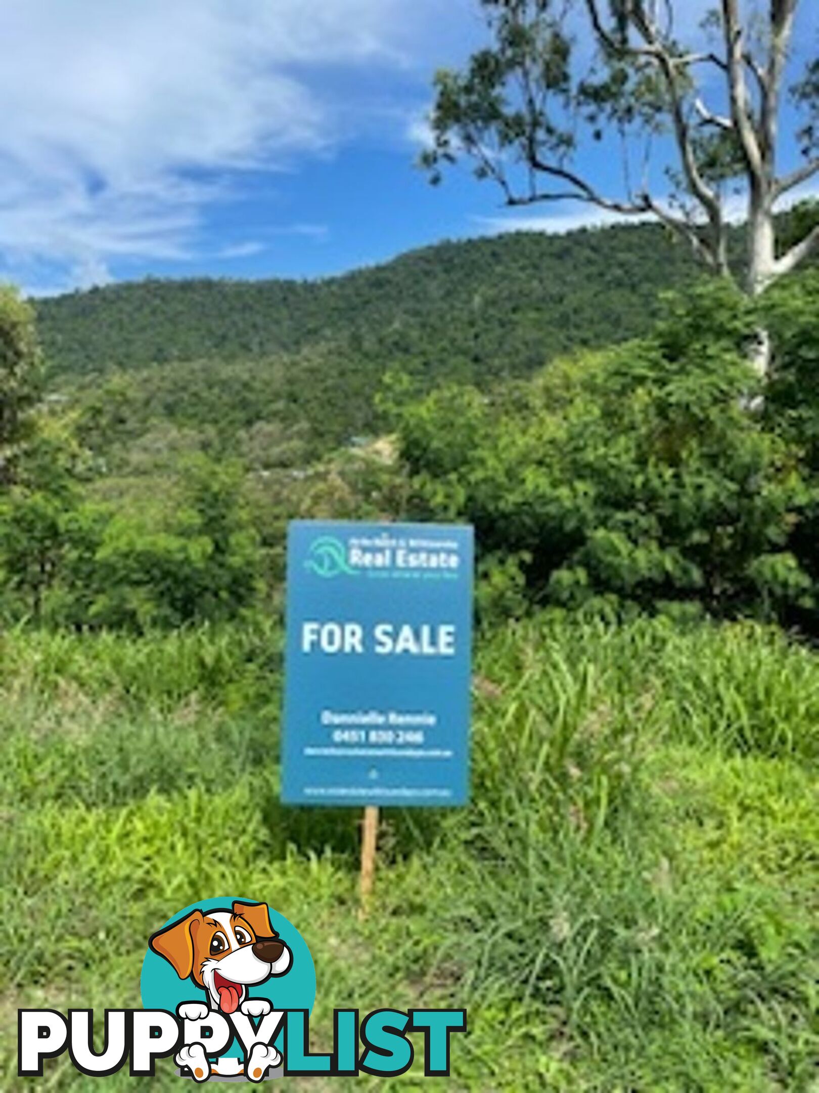 LOT 1 PARKWOOD TERRACE CANNONVALE QLD 4802