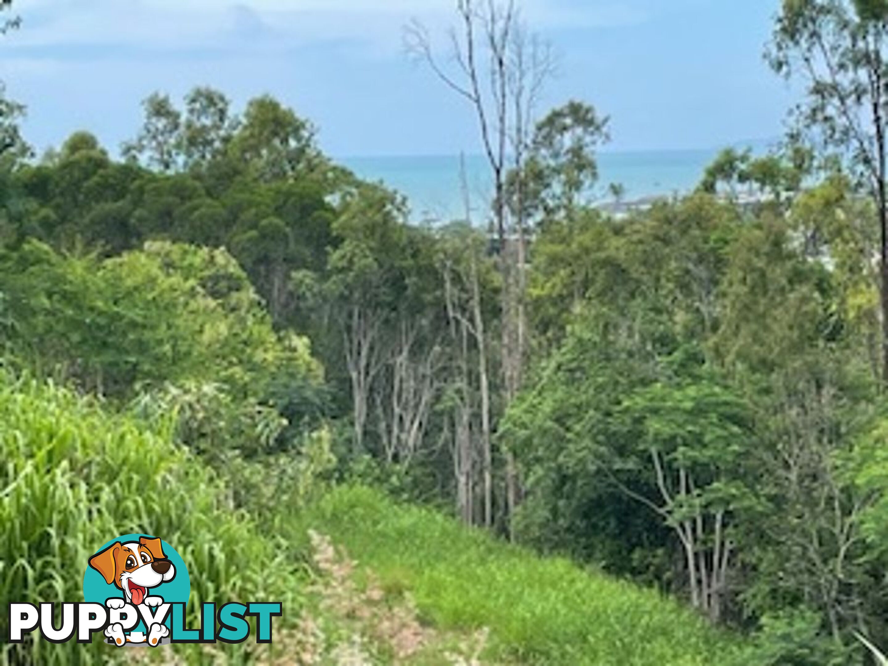 LOT 1 PARKWOOD TERRACE CANNONVALE QLD 4802