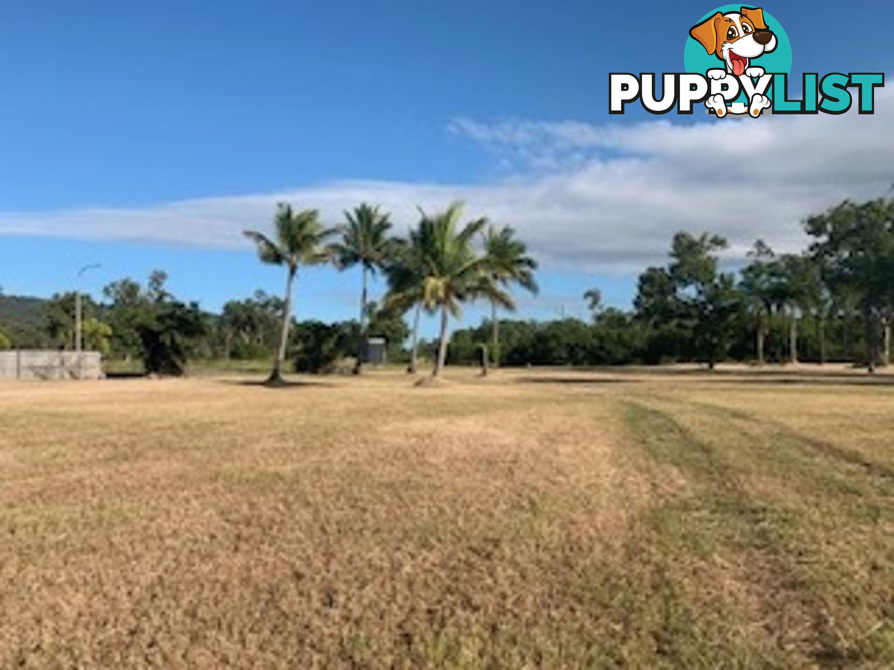 LOT 32 POWER BOULEVARD MIDGE POINT QLD 4799