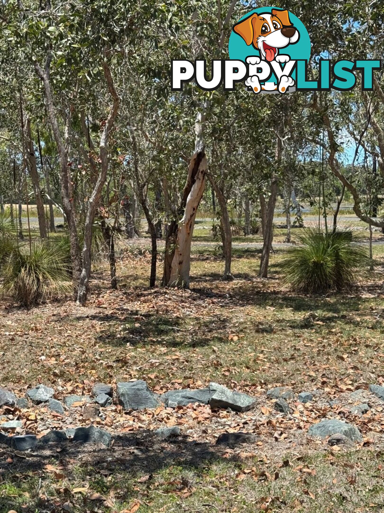 LOT 7 TURTLE POINT LAKESIDE LAGUNA QUAYS QLD 4800