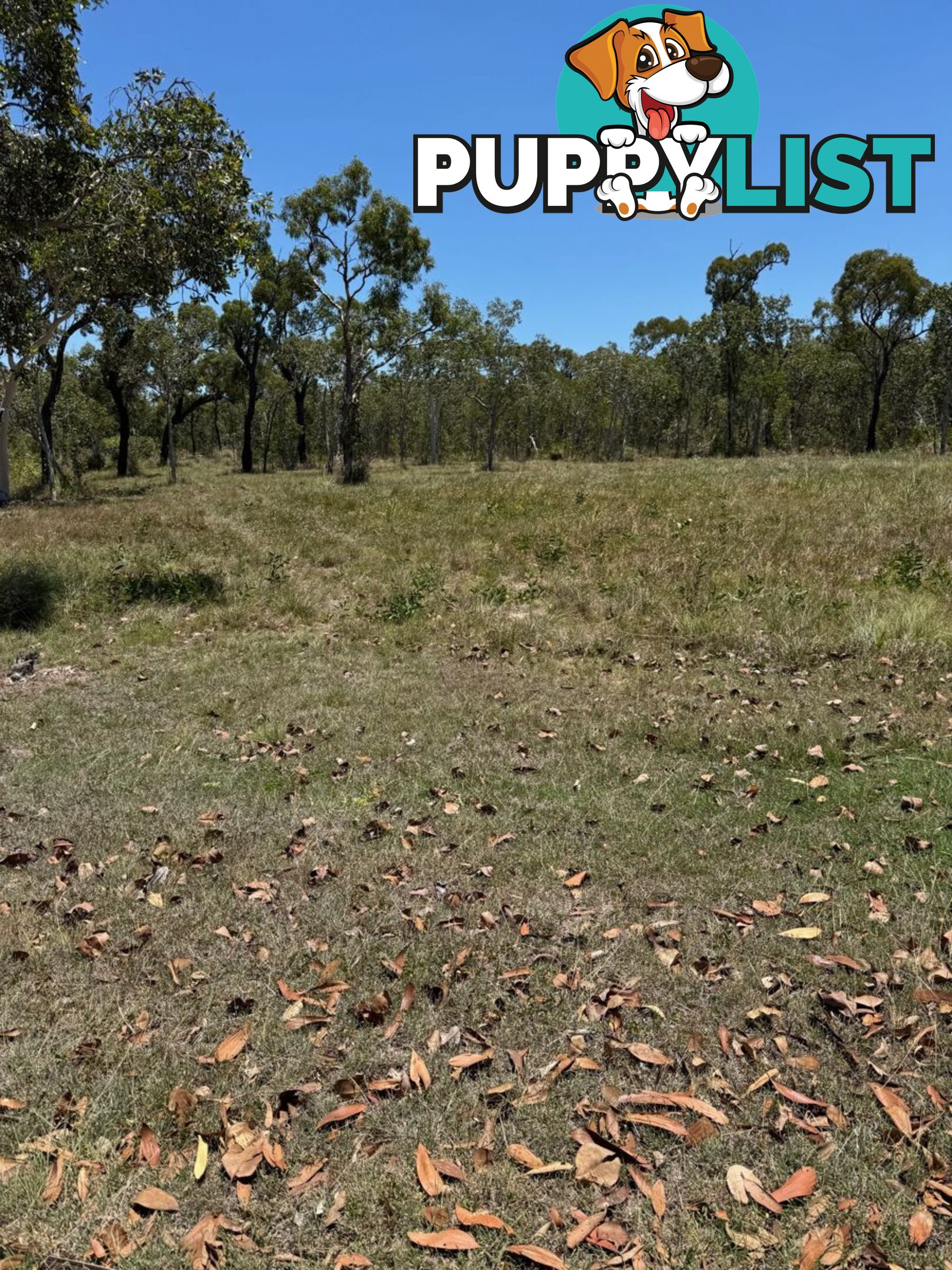 LOT 7 TURTLE POINT LAKESIDE LAGUNA QUAYS QLD 4800