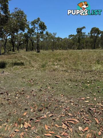 LOT 7 TURTLE POINT LAKESIDE LAGUNA QUAYS QLD 4800