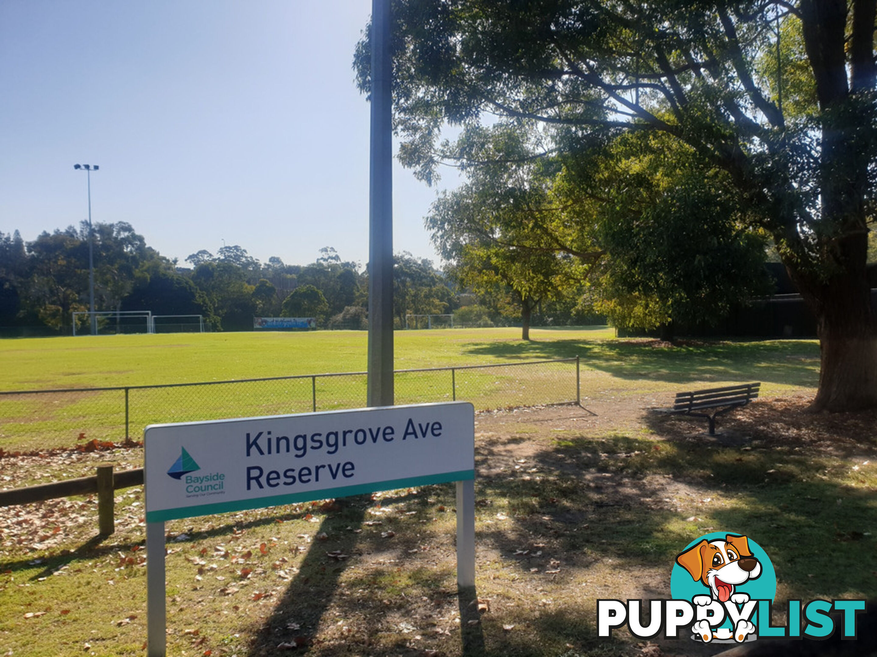 5 Kingsgrove Avenue KINGSGROVE NSW 2208