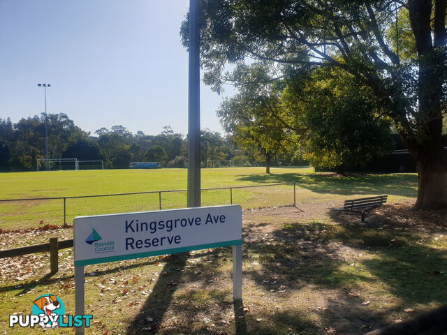 5 Kingsgrove Avenue KINGSGROVE NSW 2208