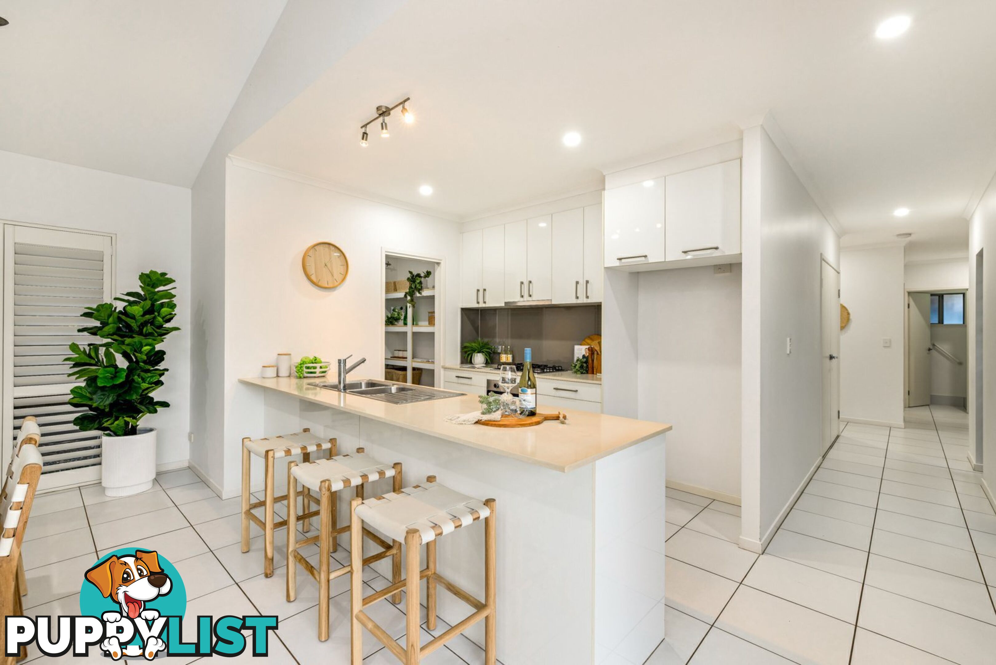 19 Springbrook Avenue REDLYNCH QLD 4870