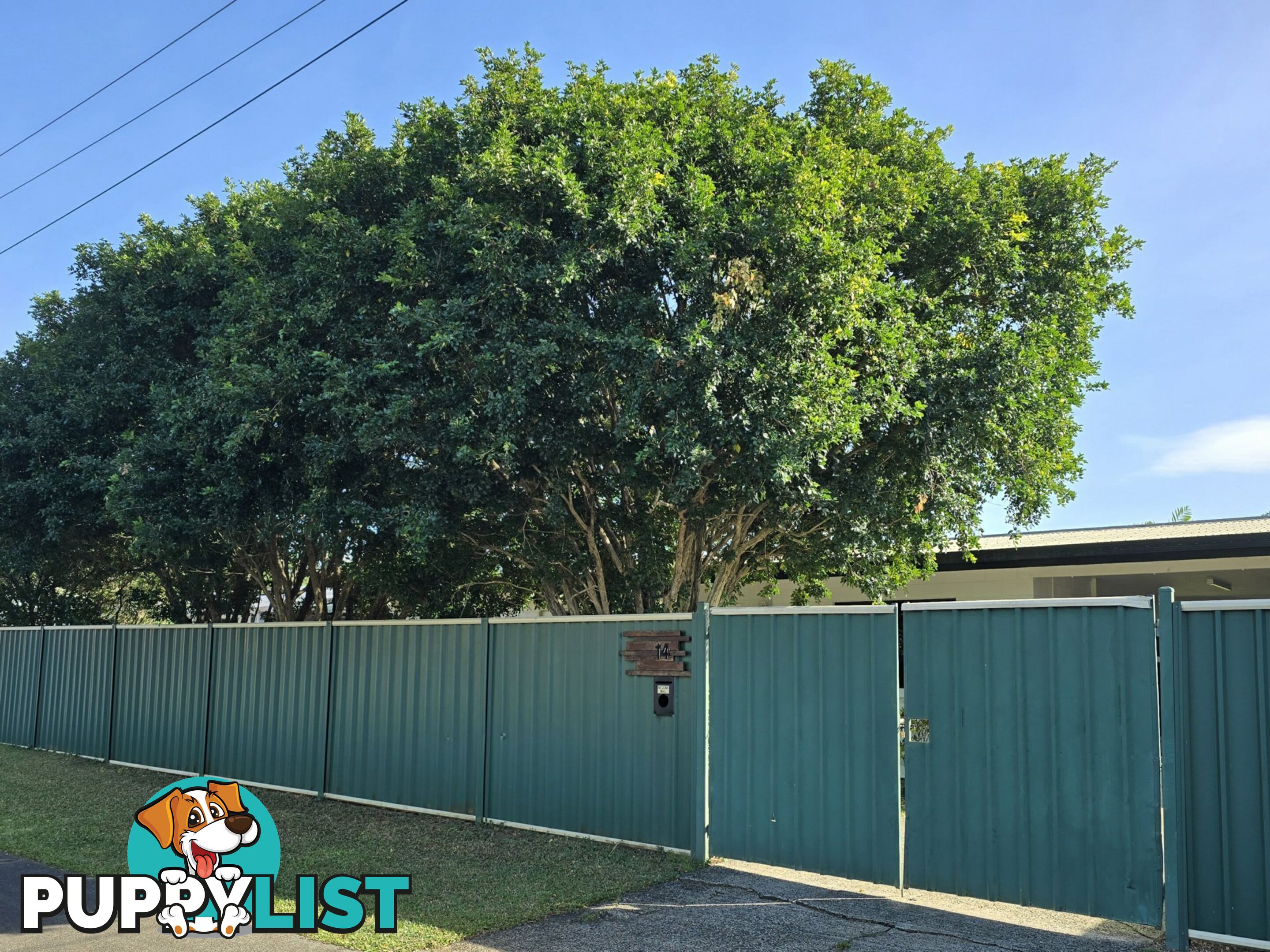 14 Anderson Road WOREE QLD 4868