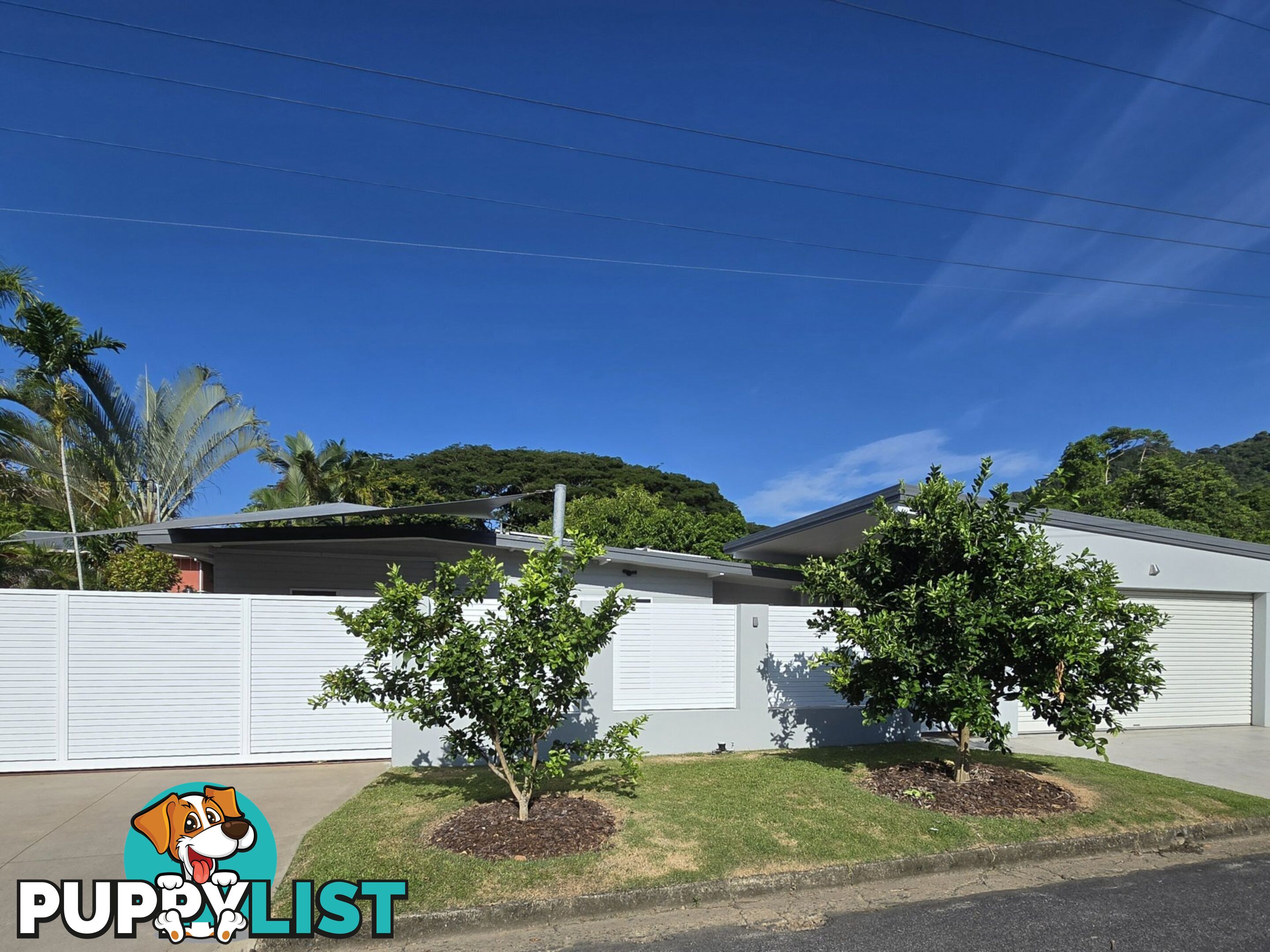 181 Jensen Street WHITFIELD QLD 4870