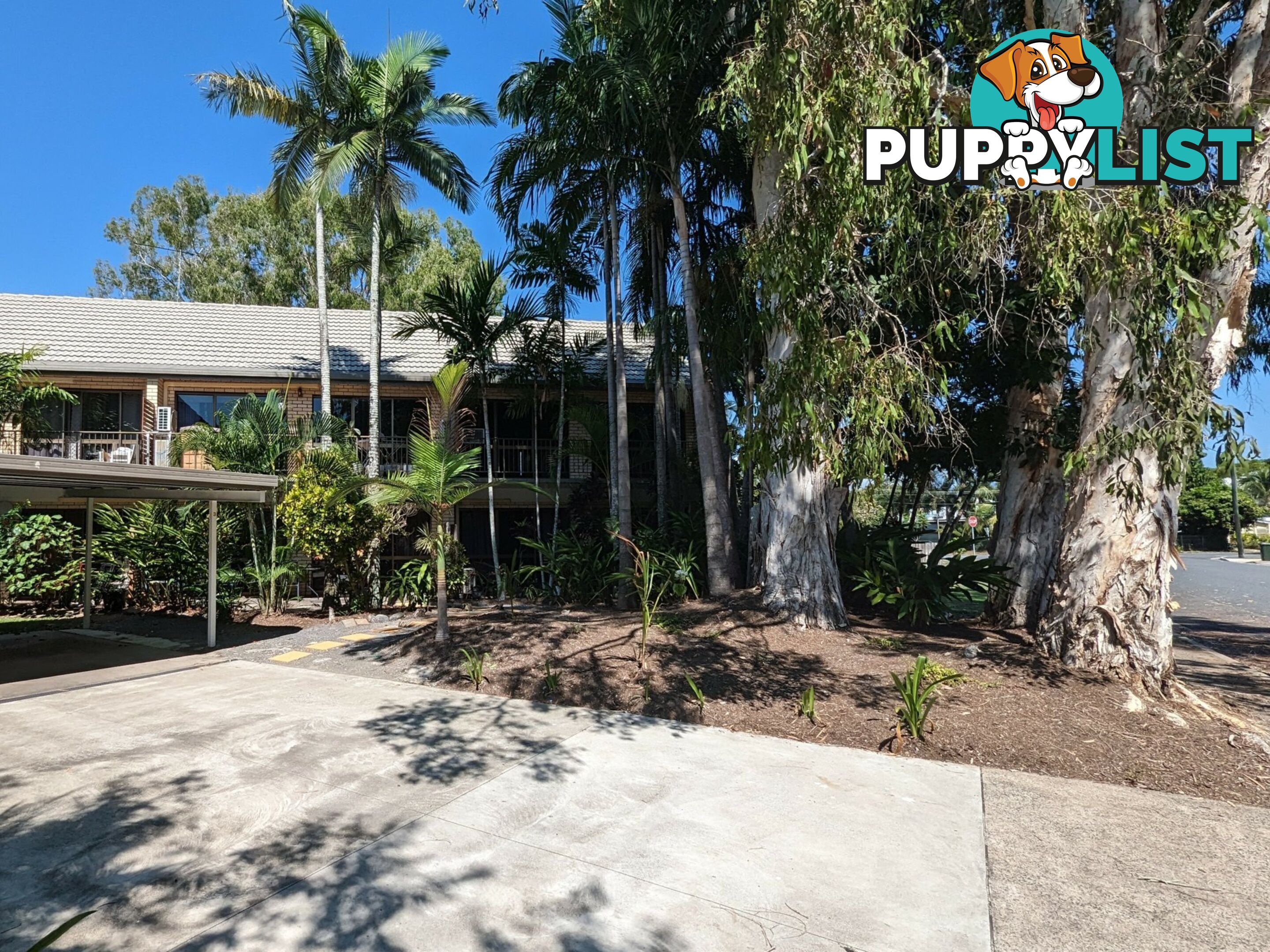 6/21 Poinciana Street HOLLOWAYS BEACH QLD 4878