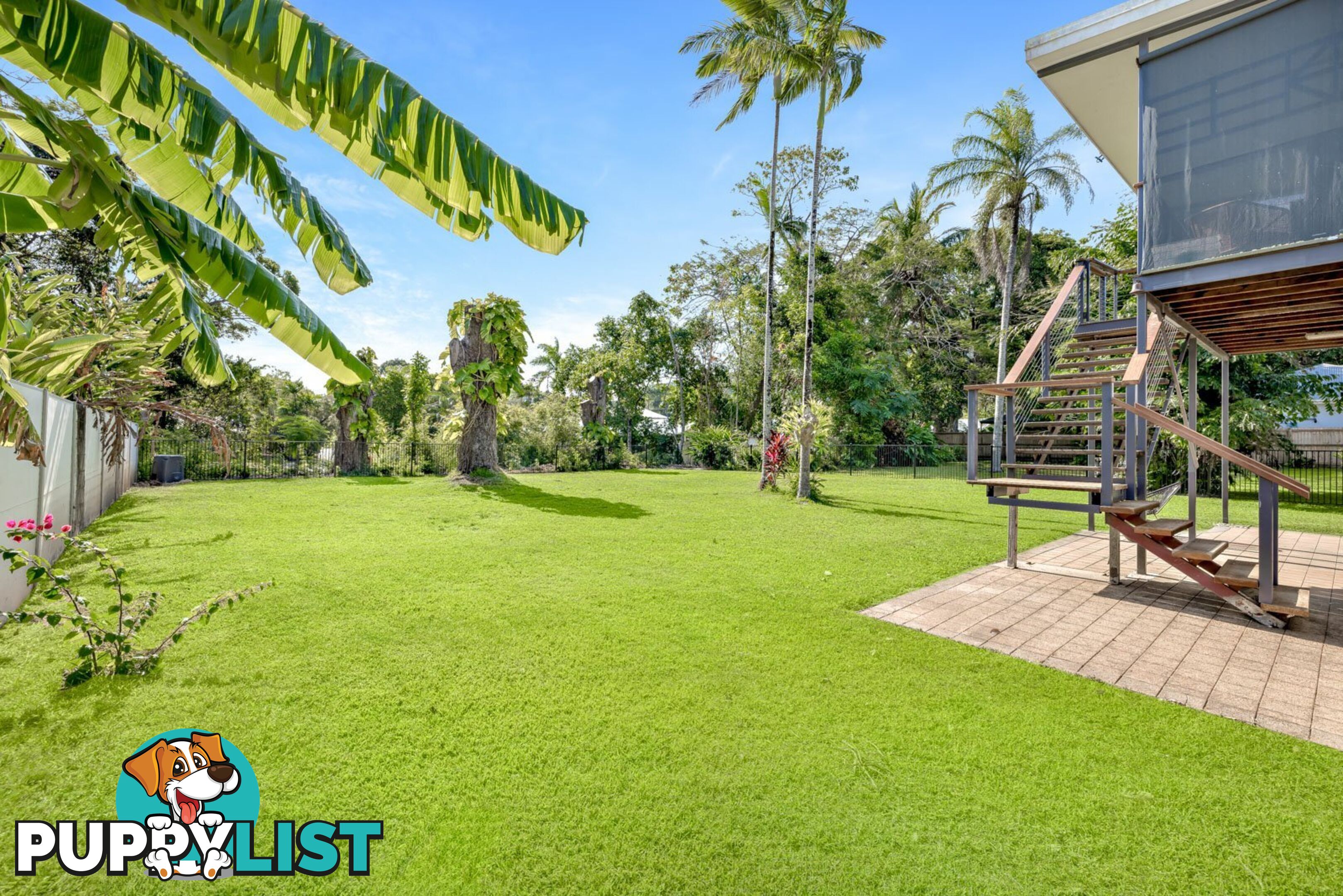 155 Jensen Street WHITFIELD QLD 4870