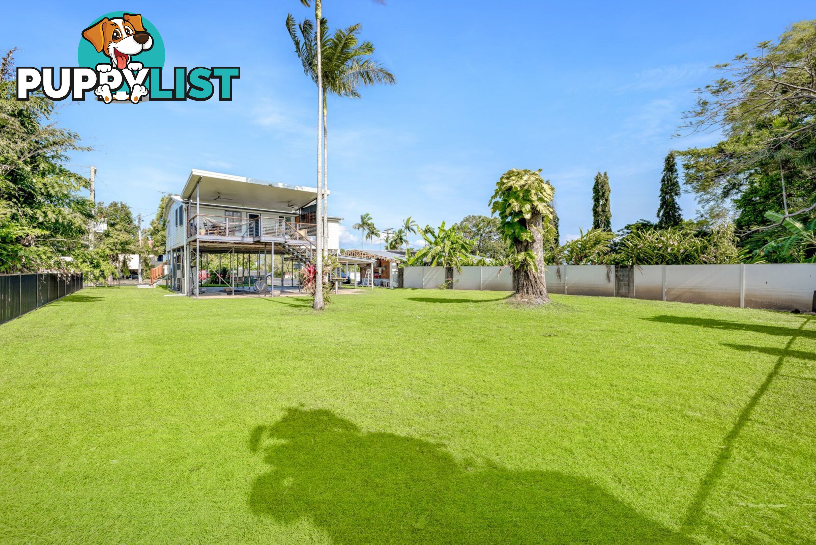 155 Jensen Street WHITFIELD QLD 4870