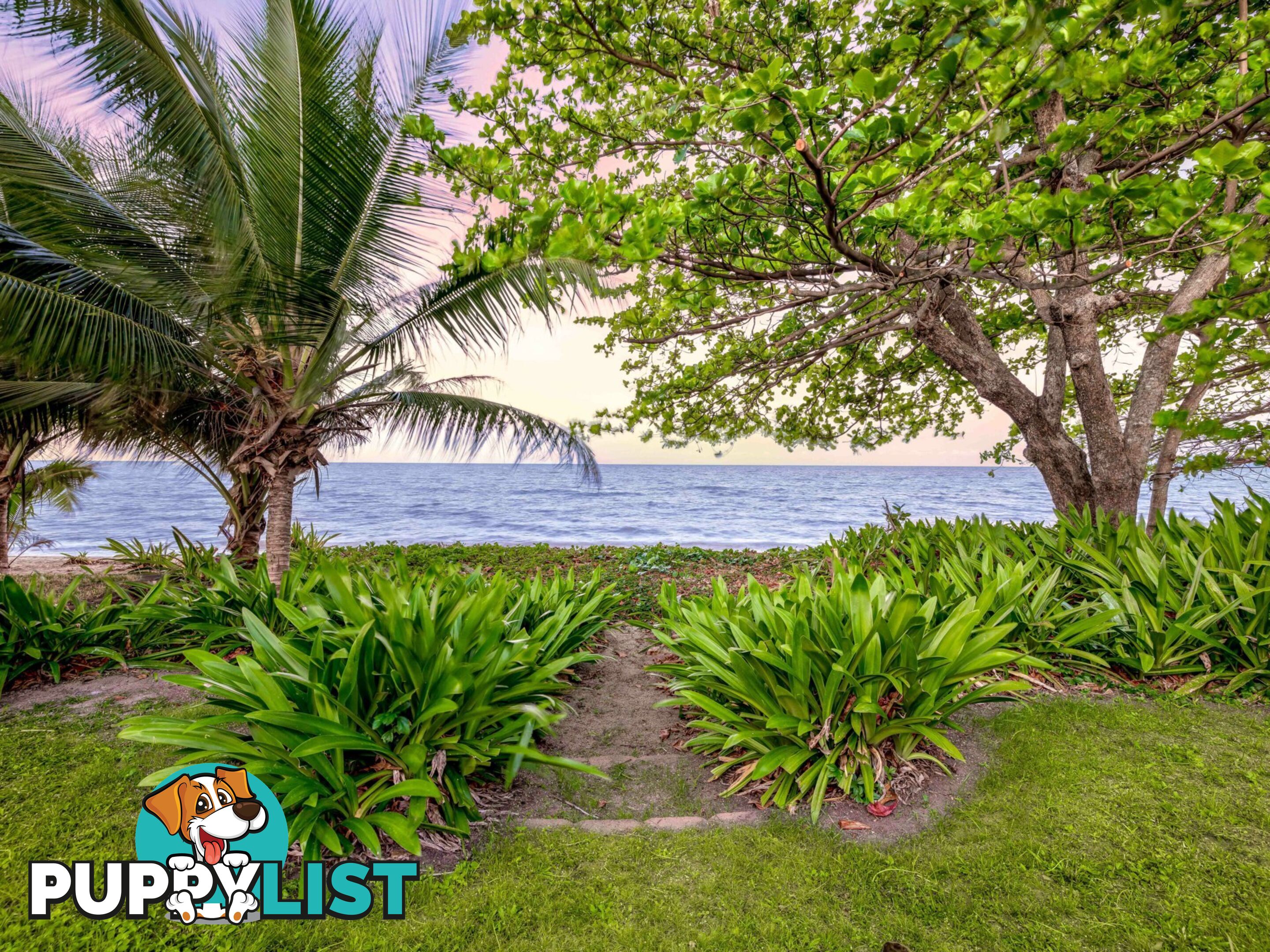 56 Hibiscus Lane HOLLOWAYS BEACH QLD 4878