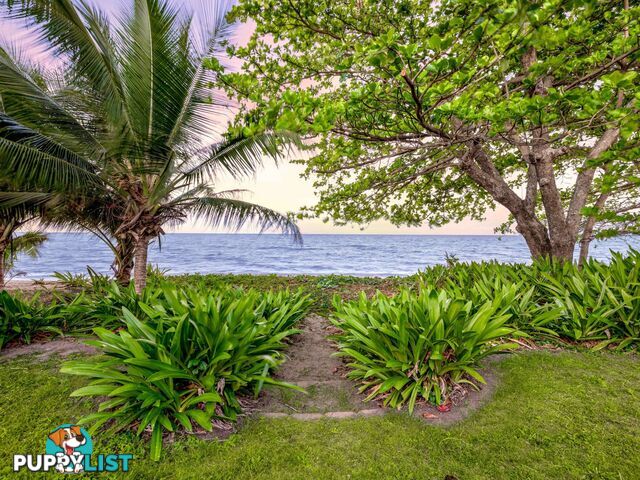 56 Hibiscus Lane HOLLOWAYS BEACH QLD 4878