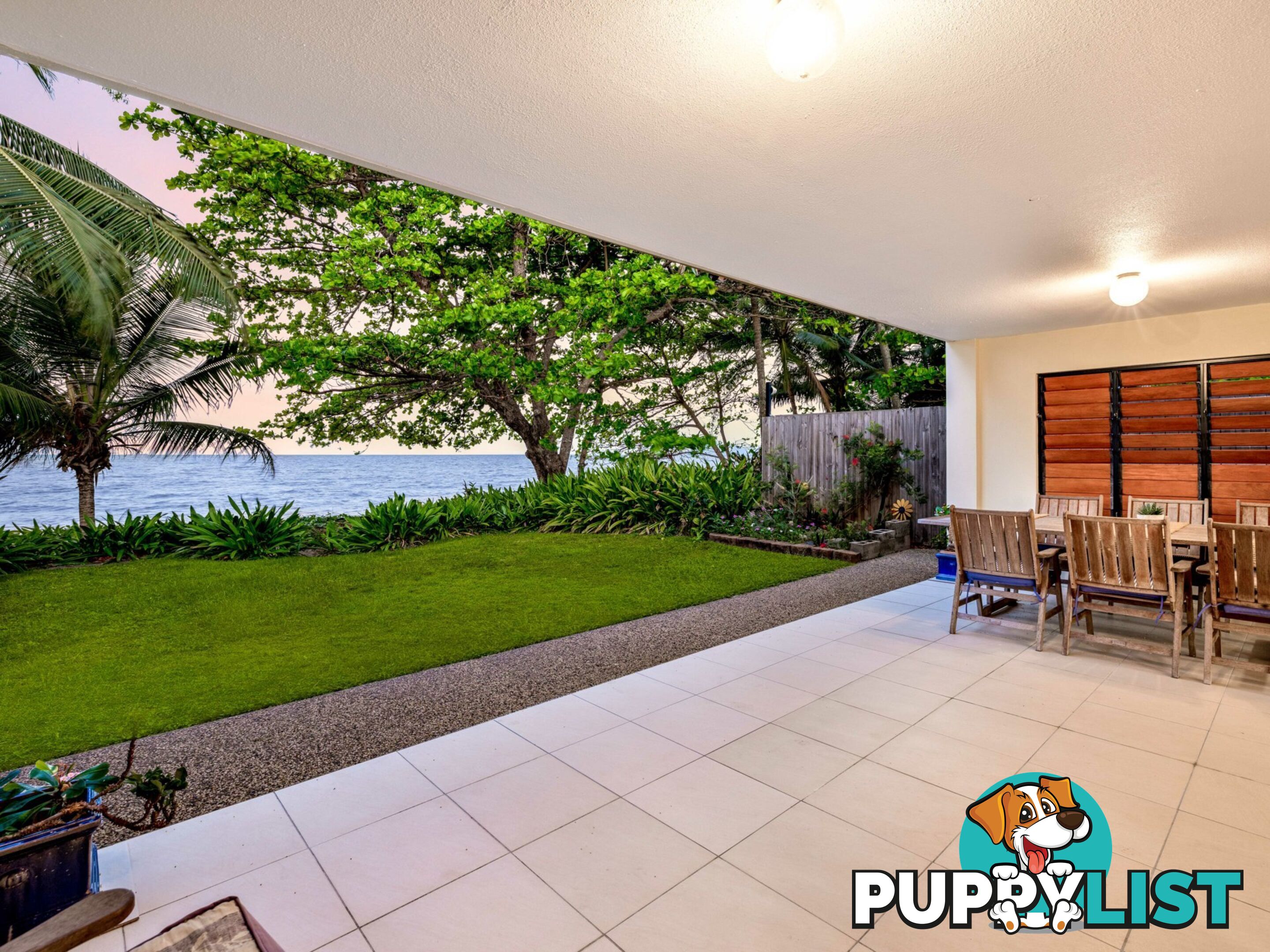 56 Hibiscus Lane HOLLOWAYS BEACH QLD 4878