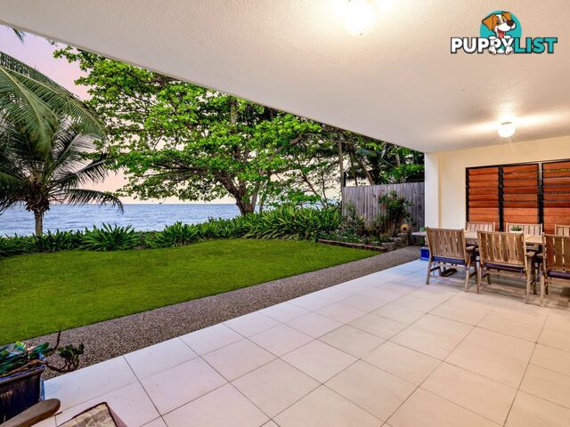 56 Hibiscus Lane HOLLOWAYS BEACH QLD 4878