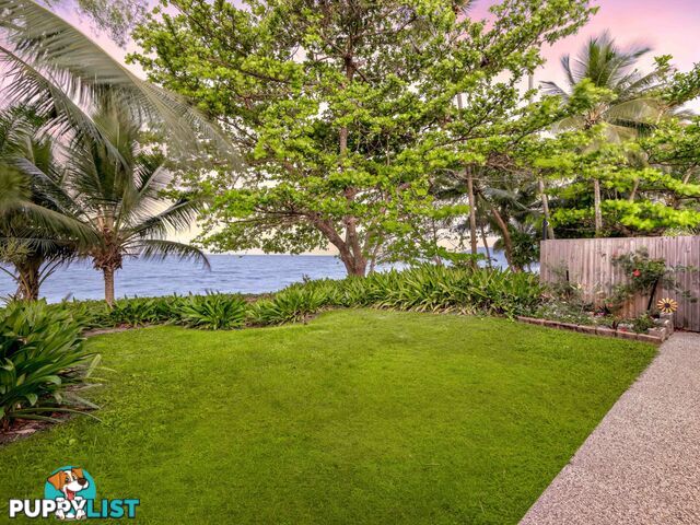 56 Hibiscus Lane HOLLOWAYS BEACH QLD 4878