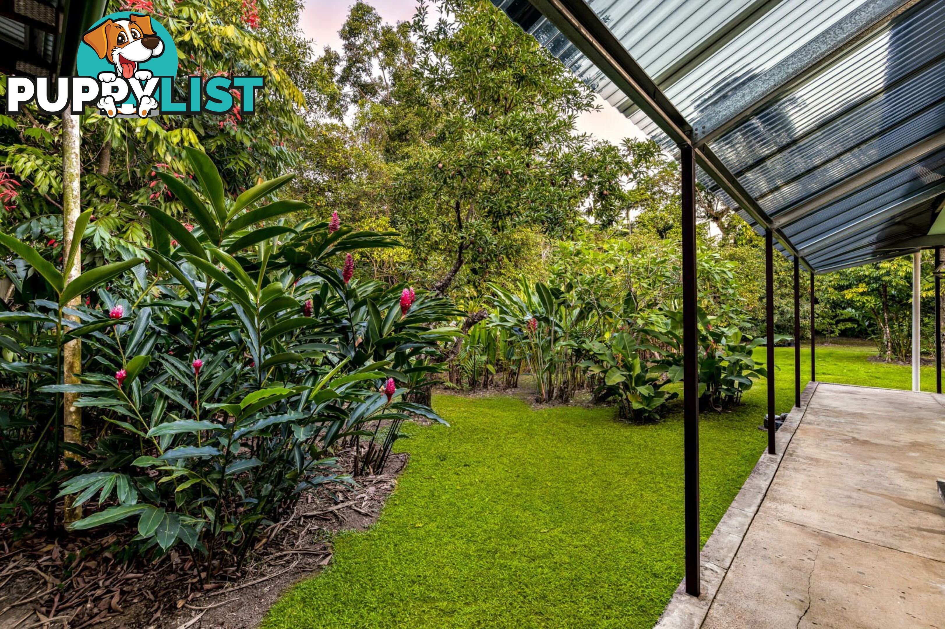 13-15 Murchison Street WHITFIELD QLD 4870