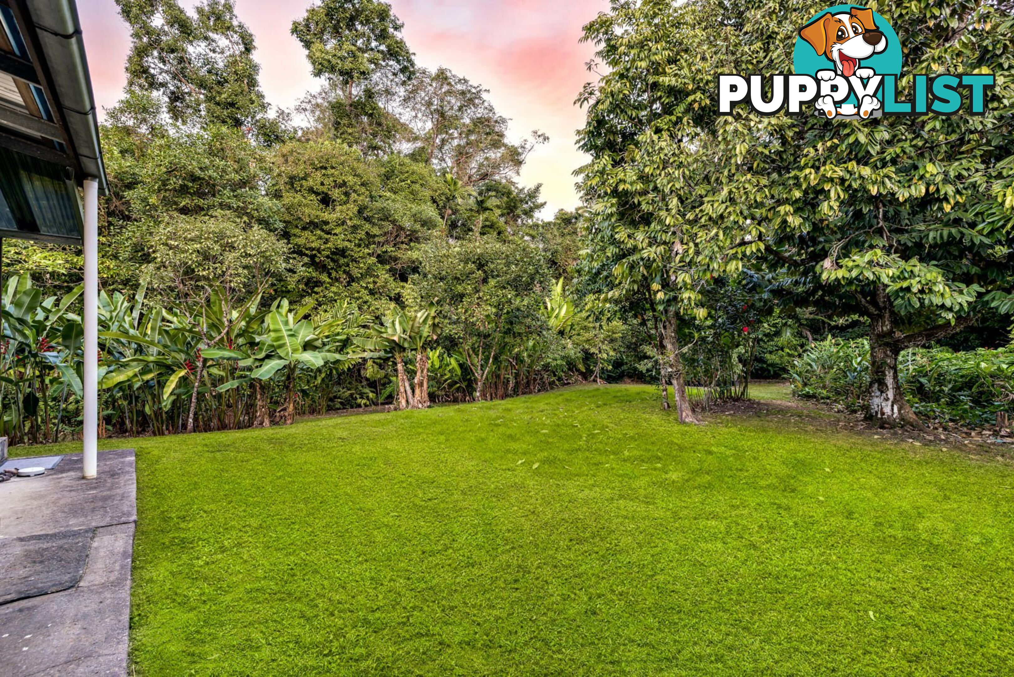 13-15 Murchison Street WHITFIELD QLD 4870