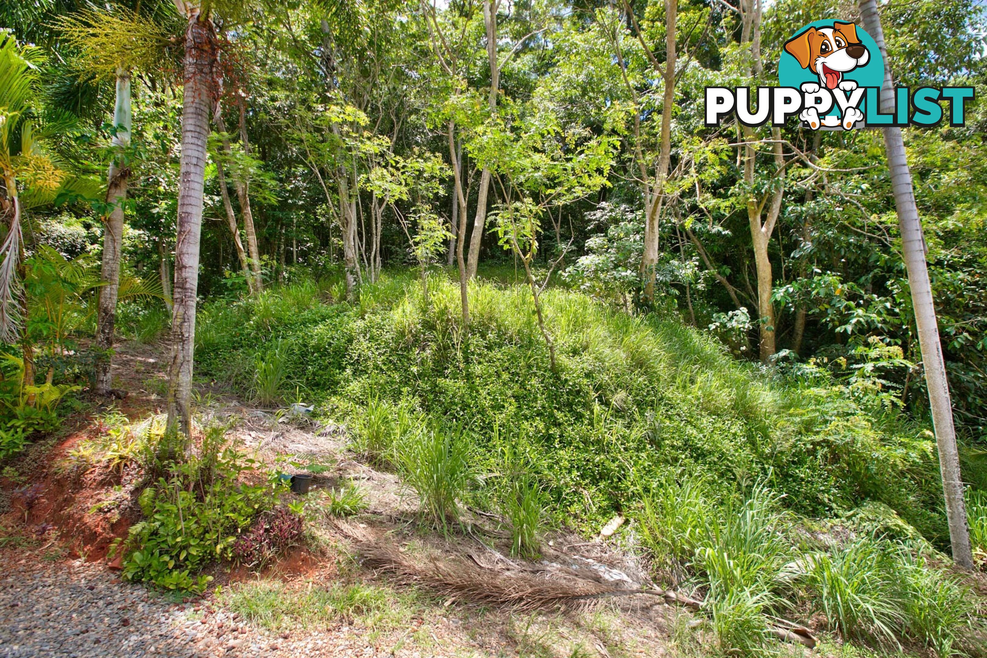 Lot 4/2 Charlekata Close FRESHWATER QLD 4870