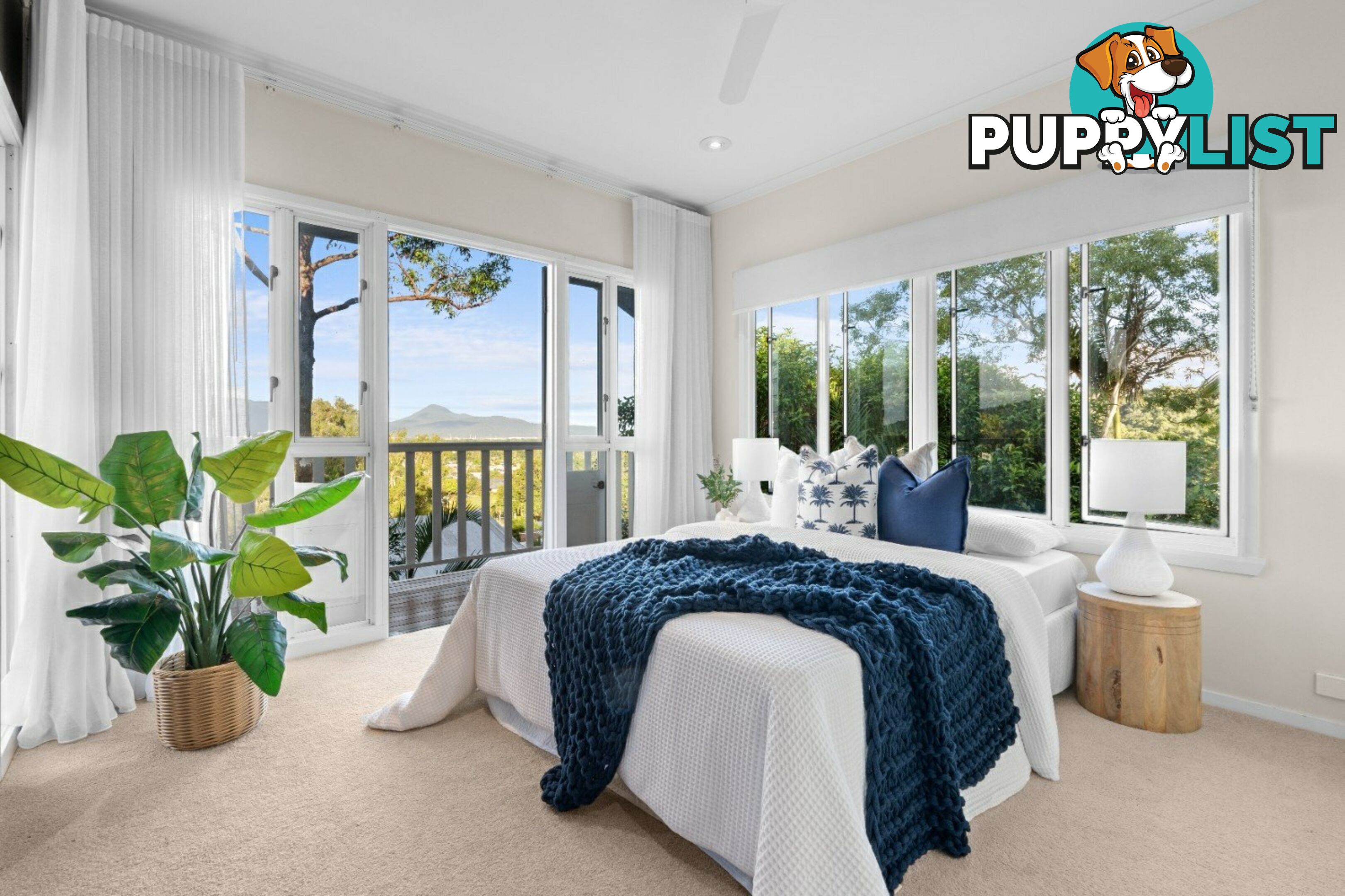 14 Atherton Street WHITFIELD QLD 4870