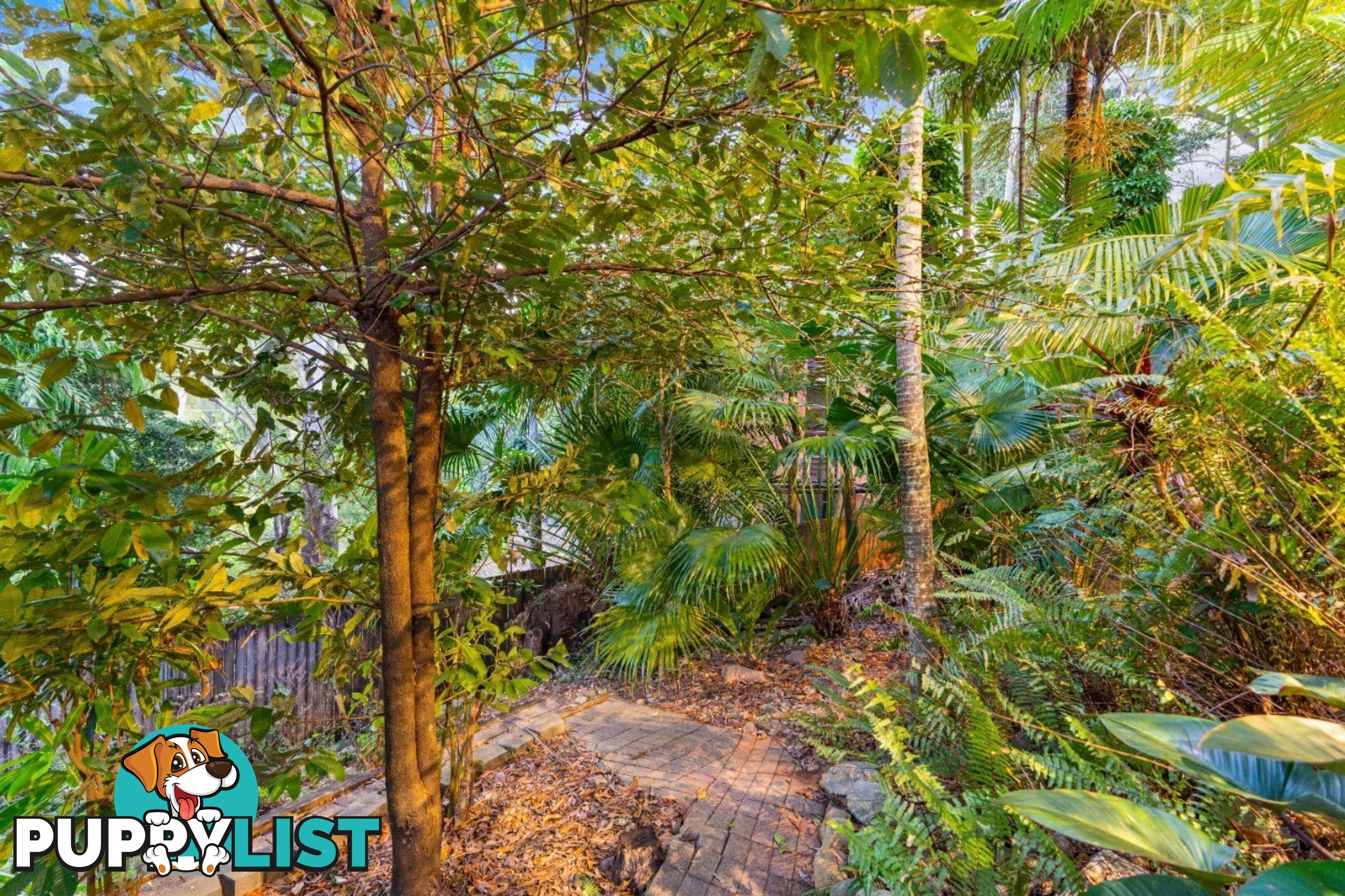 14 Atherton Street WHITFIELD QLD 4870