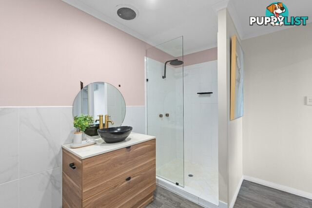14 Atherton Street WHITFIELD QLD 4870