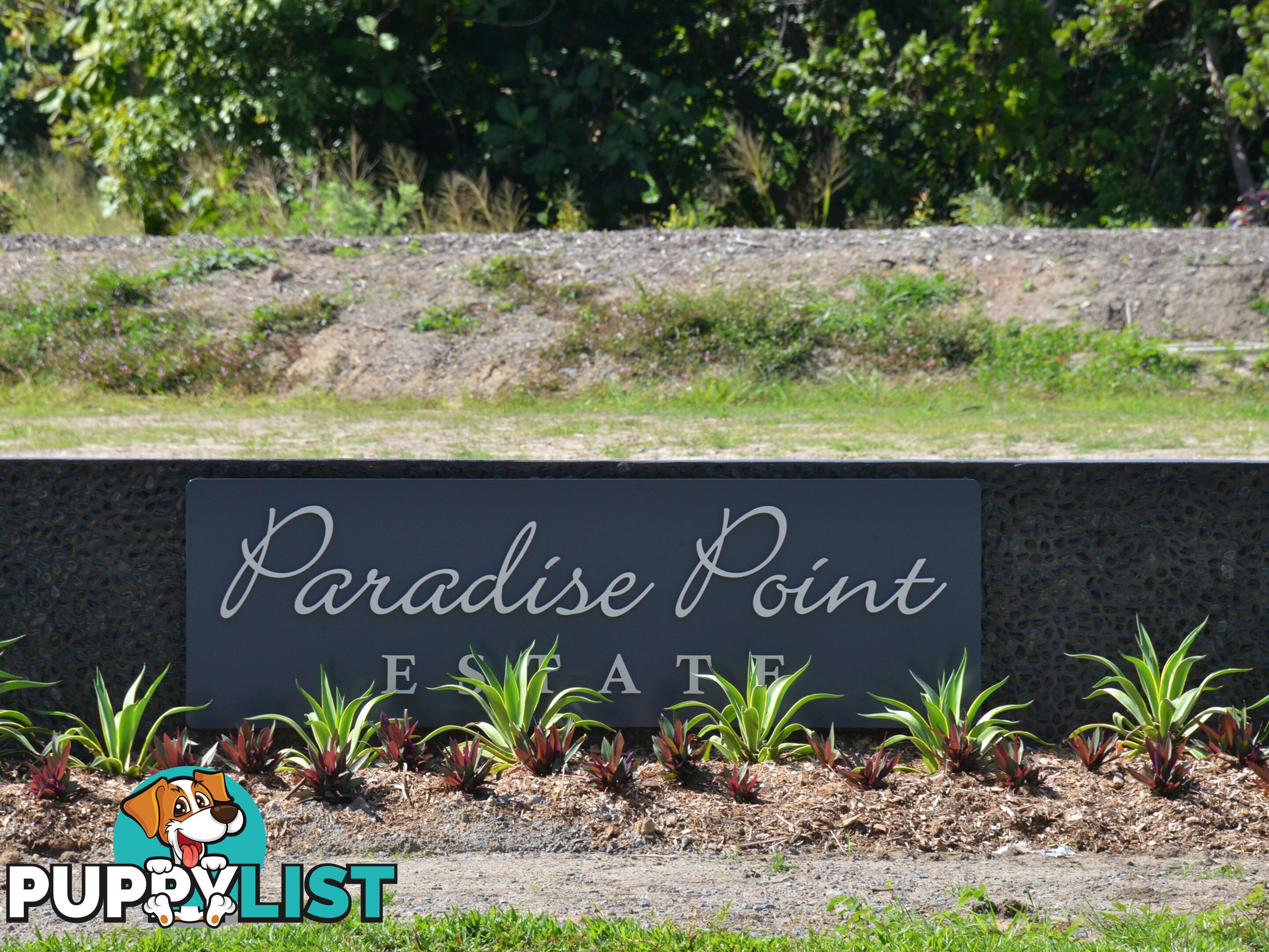 LOT 100 Seclusion Drive PALM COVE QLD 4879