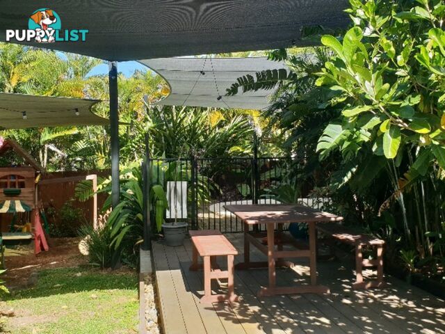 5 Fay Close BRINSMEAD QLD 4870