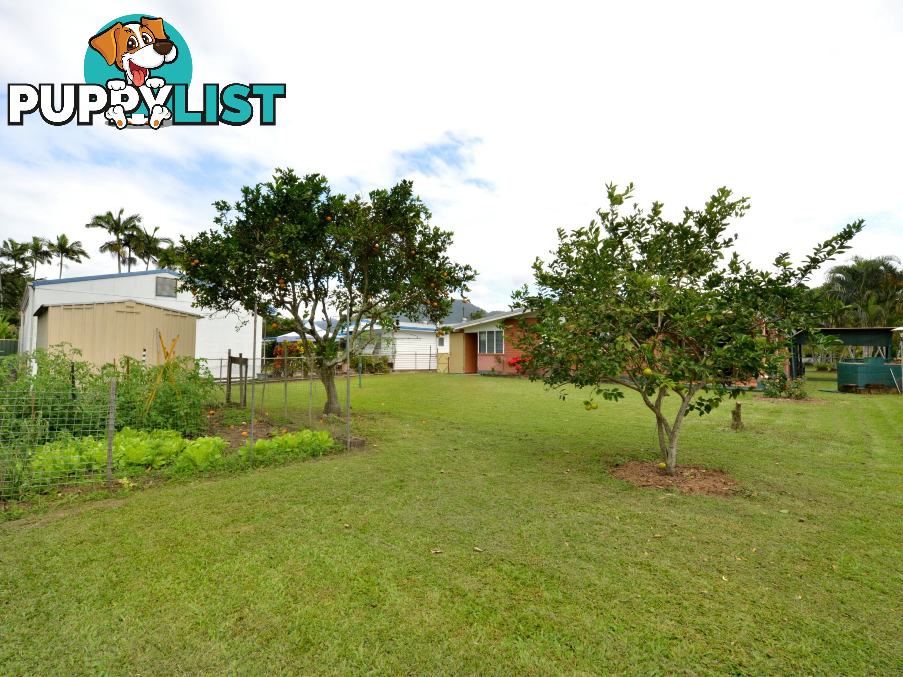 10 Compass Close EDGE HILL QLD 4870