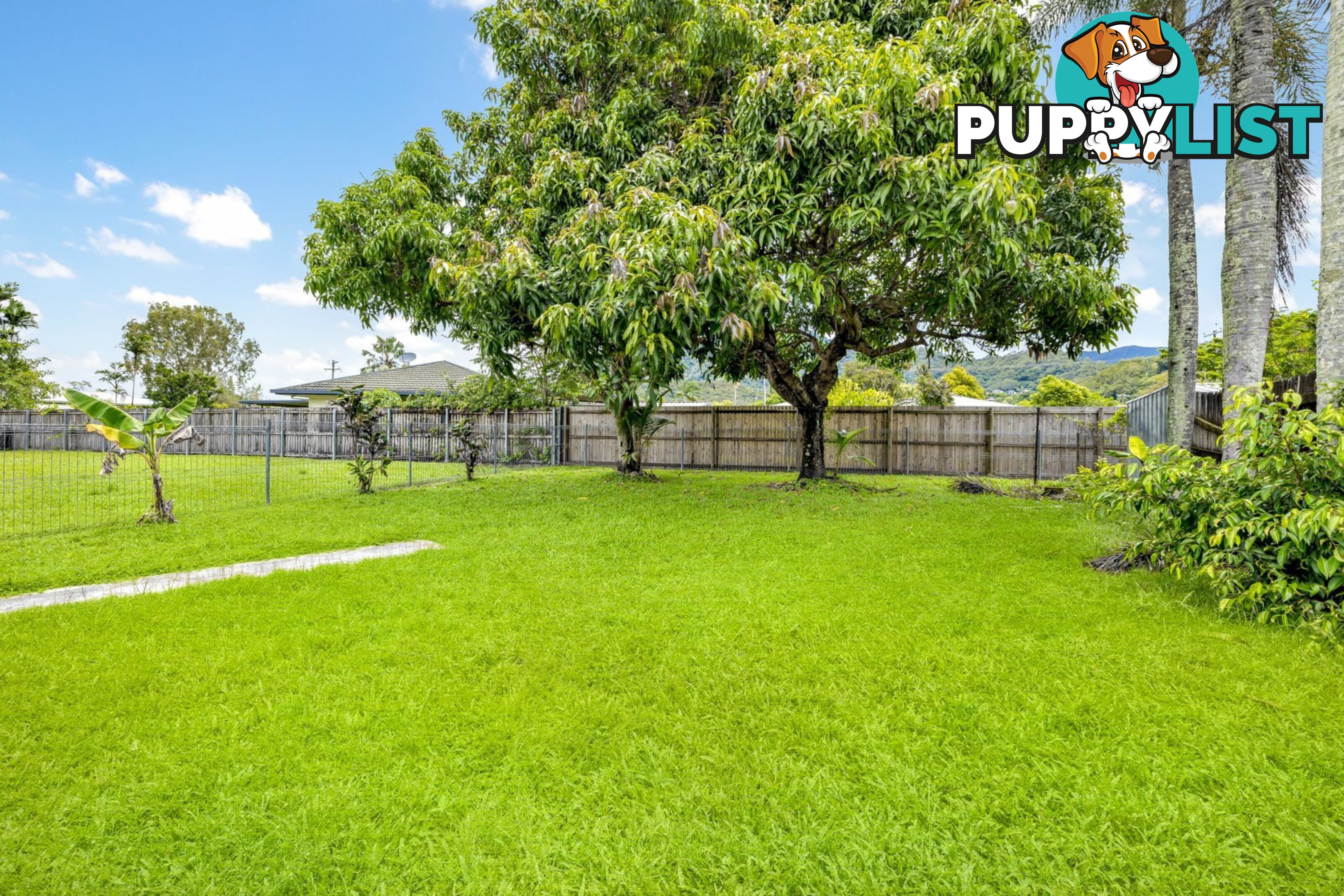 16 Trucano Close WHITFIELD QLD 4870