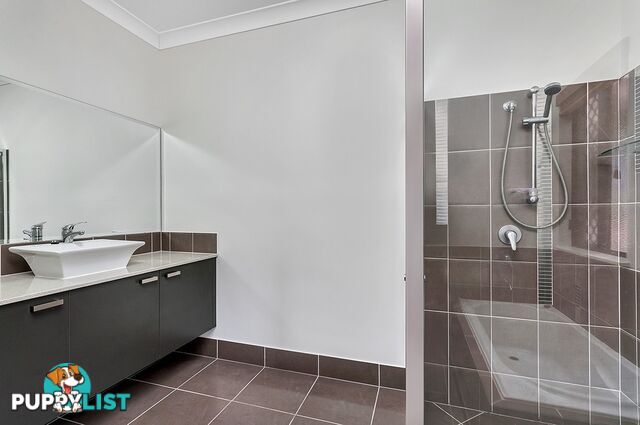 13 Anniebuka Close BENTLEY PARK QLD 4869