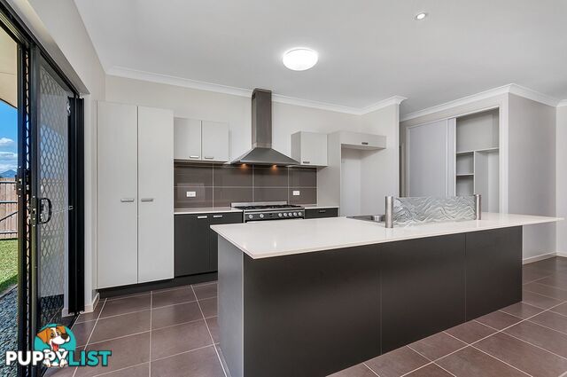 13 Anniebuka Close BENTLEY PARK QLD 4869