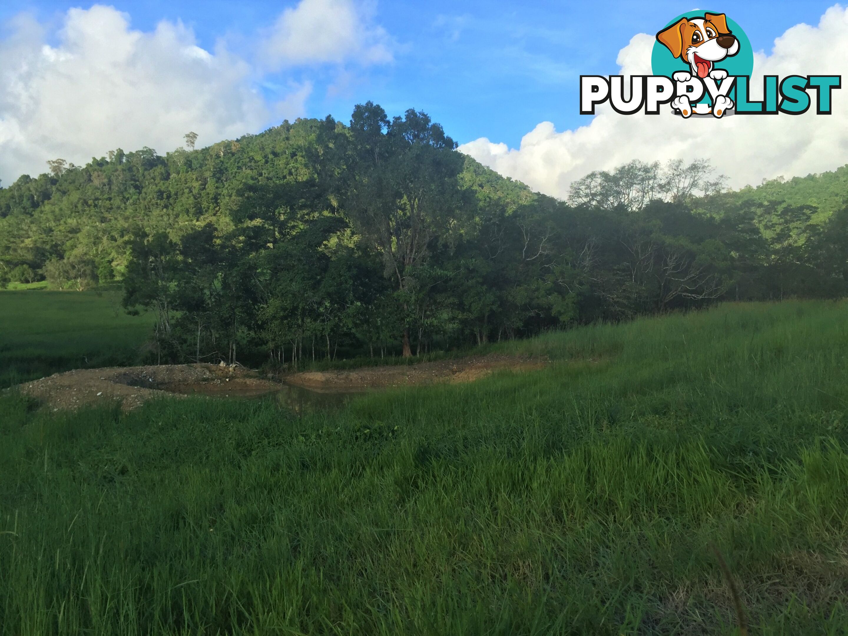 Lot 3, 122 Patullo Road GREGORY RIVER QLD 4800