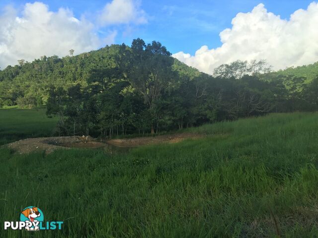 Lot 3, 122 Patullo Road GREGORY RIVER QLD 4800