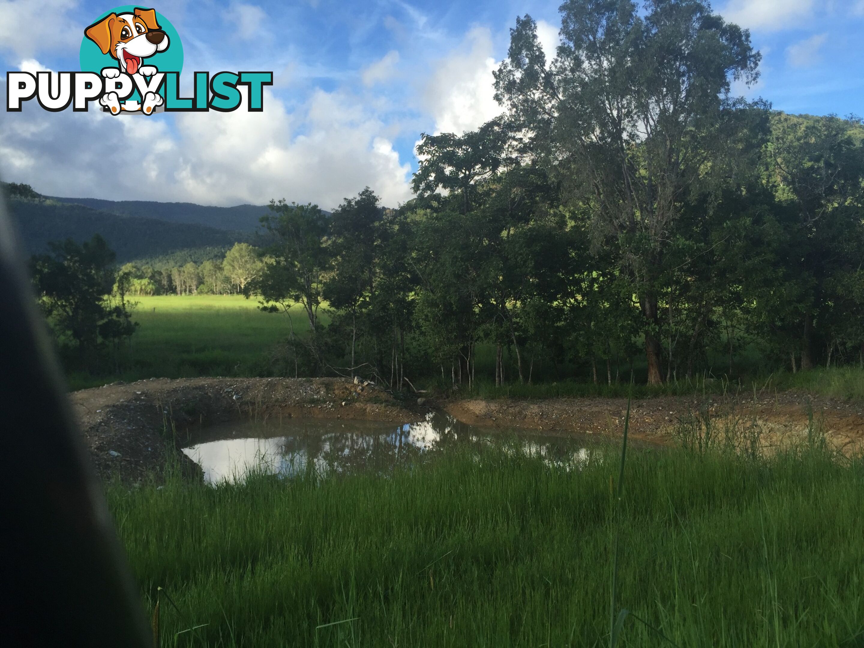 Lot 3, 122 Patullo Road GREGORY RIVER QLD 4800