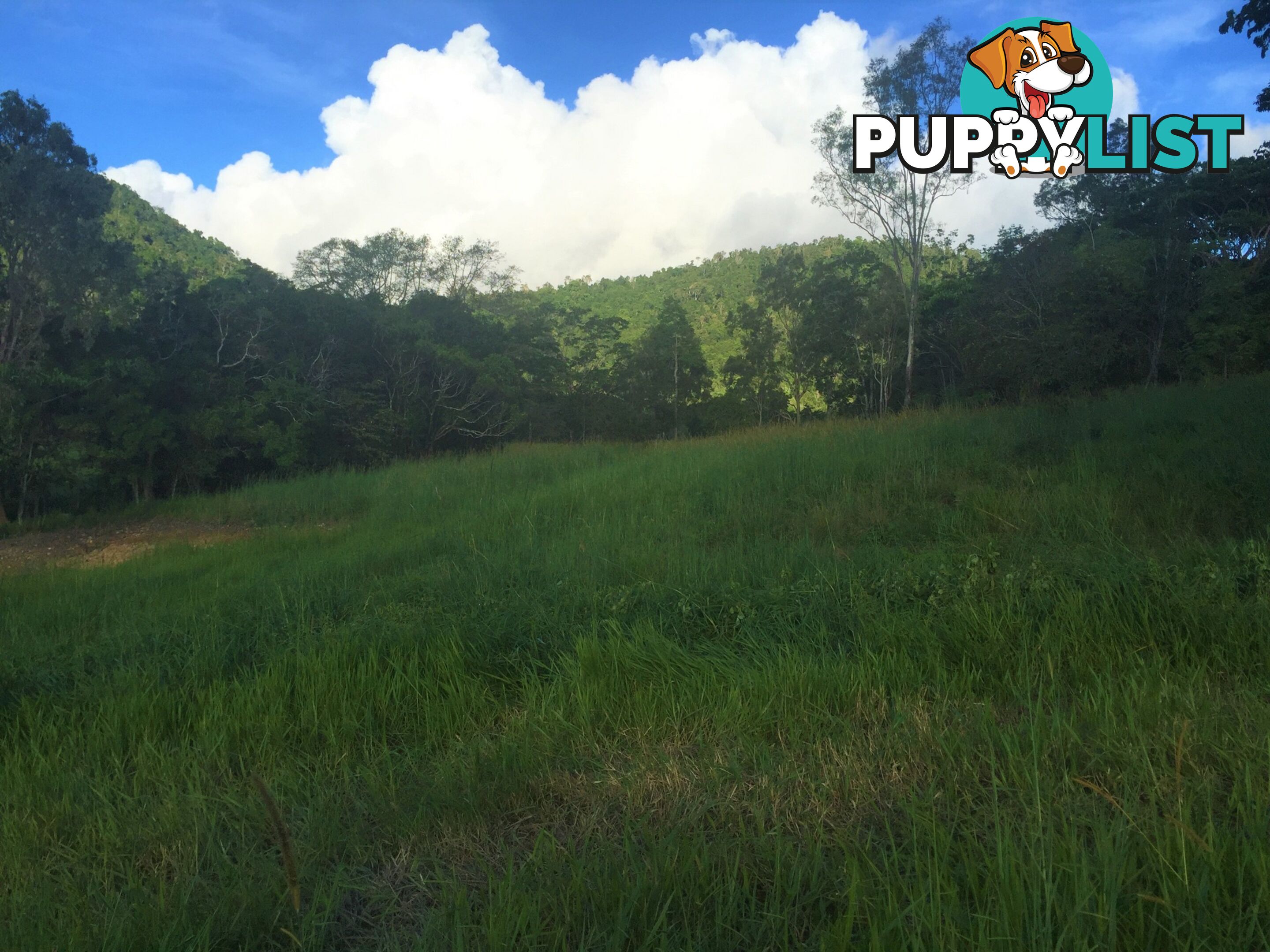 Lot 3, 122 Patullo Road GREGORY RIVER QLD 4800