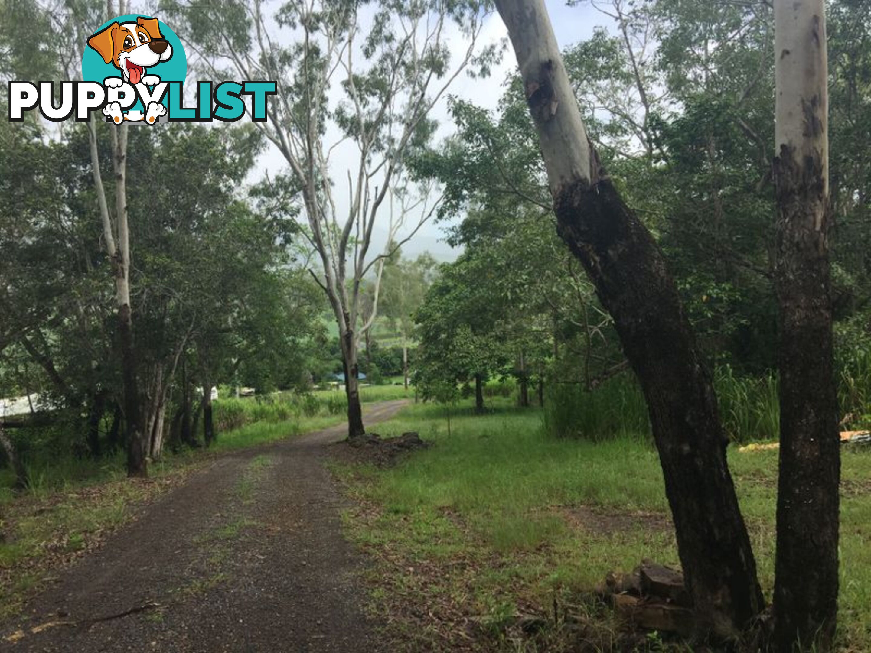 16 Brandy Creek Road BRANDY CREEK QLD 4800