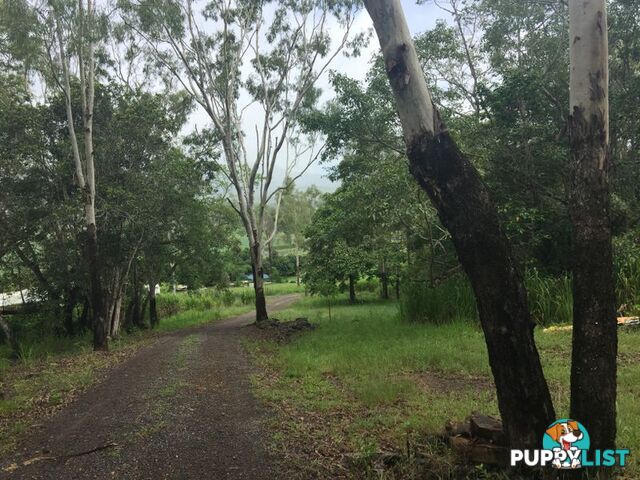 16 Brandy Creek Road BRANDY CREEK QLD 4800