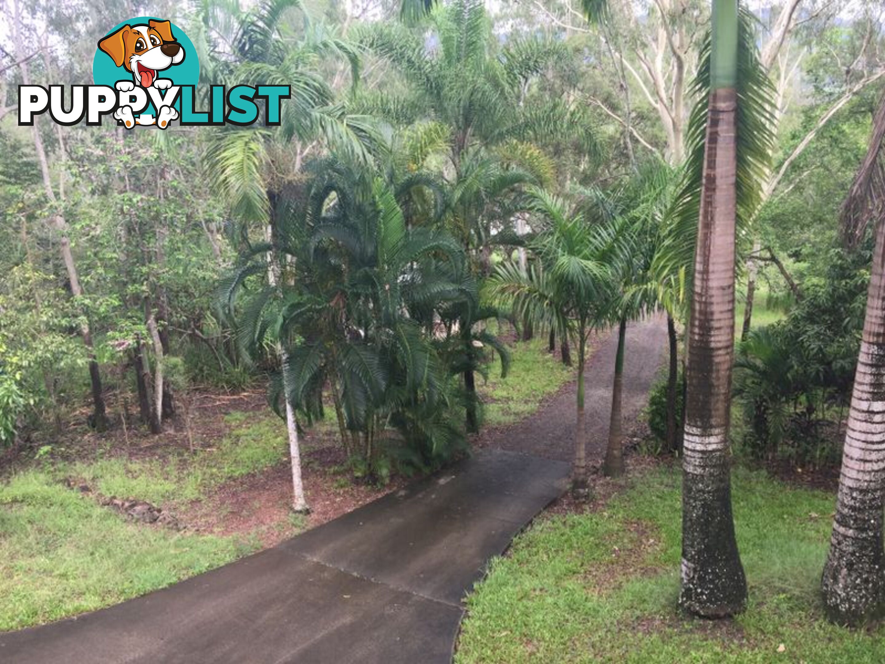 16 Brandy Creek Road BRANDY CREEK QLD 4800