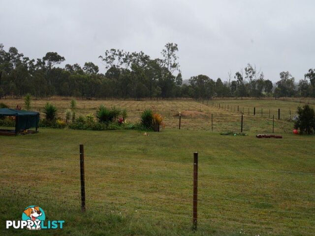 1586 Kelsey Creek Road KELSEY CREEK QLD 4800